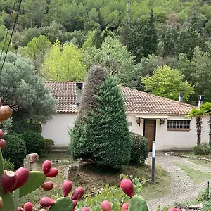 la-vinya-de-mas-pujol.catalonia-hotels.com/